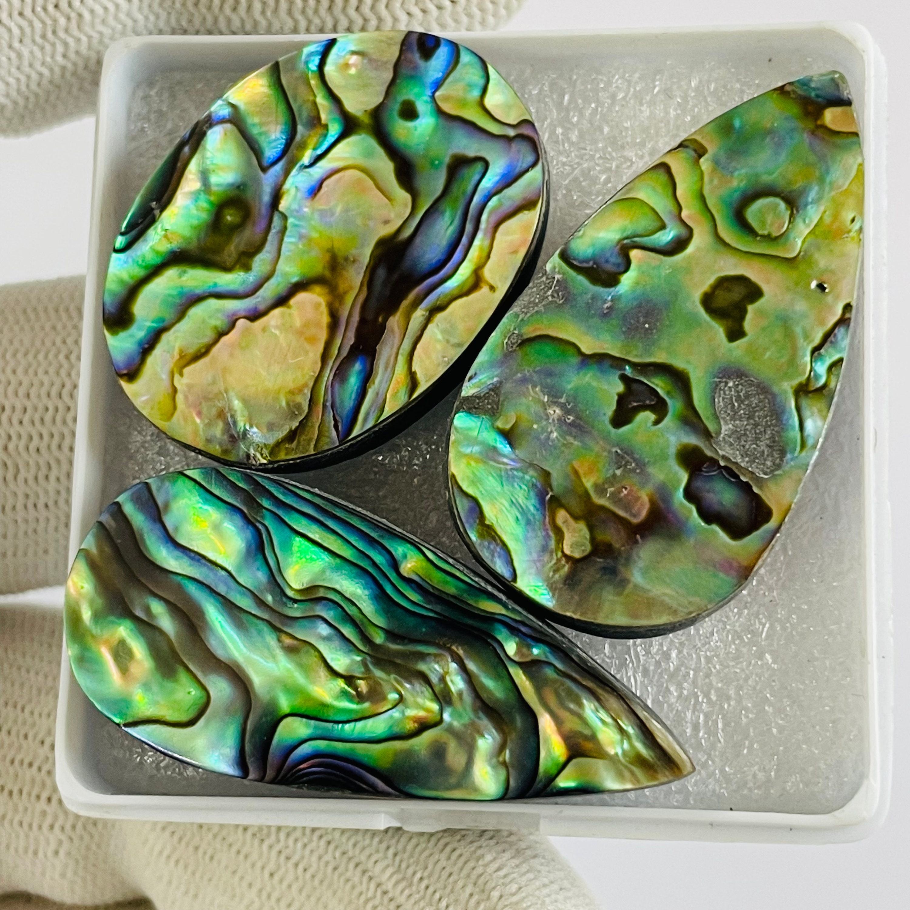 Natural Abalone Shell Cabochon: DIY Jewelry Making (20x36, 17x38)